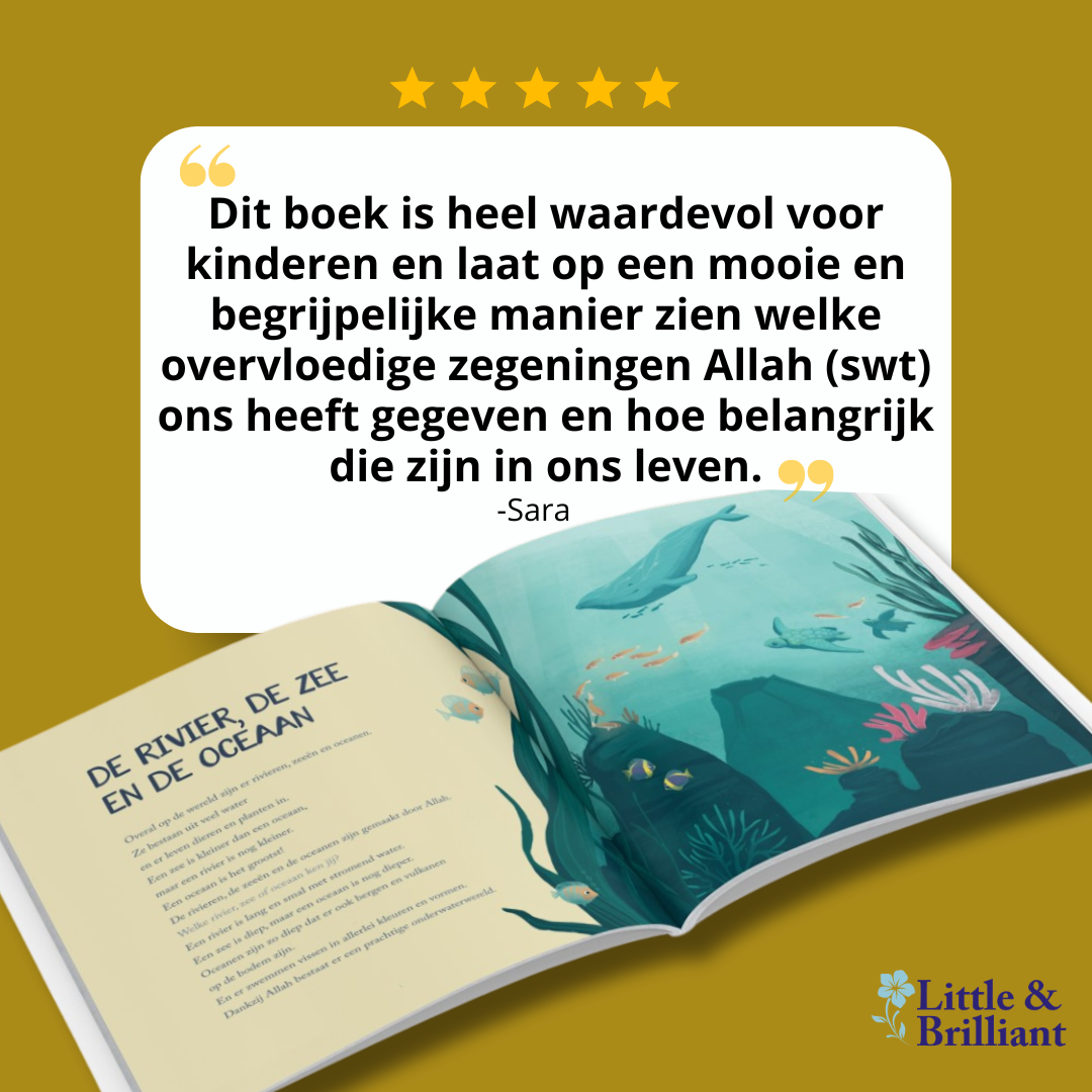 Ad2 (3)